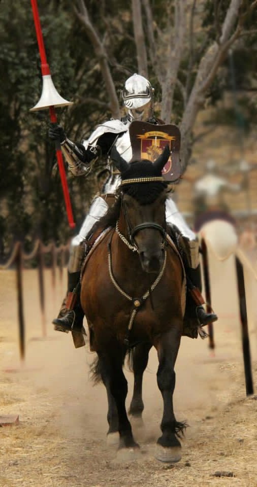 dcab8599-e034-41c0-b7fb-c530226a0c5a Woman mounted and accoutered in full armor